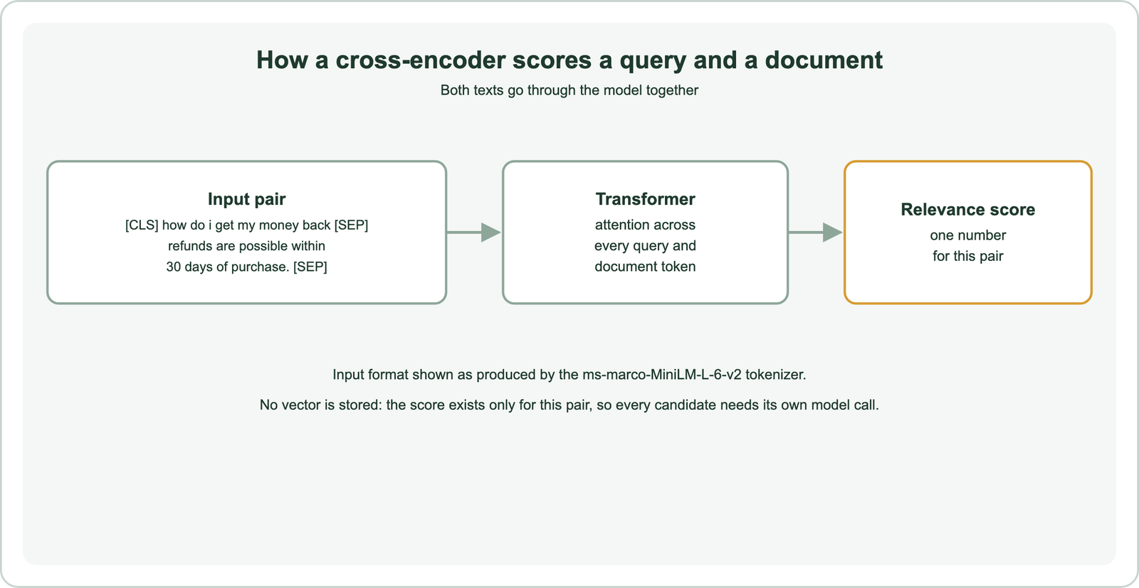 How a cross-encoder scores a query and a document: the input pair is CLS how do i get my money back SEP refunds are possible within 30 days of purchase SEP; a transformer applies attention across every query and document token; the output is one relevance score for this pair; the input format is as produced by the ms-marco-MiniLM-L-6-v2 tokenizer; no vector is stored, so every candidate needs its own model call