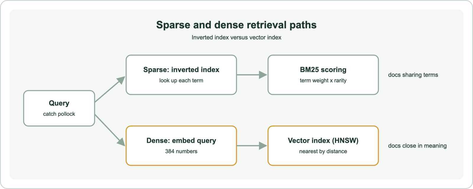 Sparse retrieval looks up each query term in an inverted index and scores matching documents with BM25; dense retrieval embeds the query and searches a vector index such as HNSW for the nearest document vectors