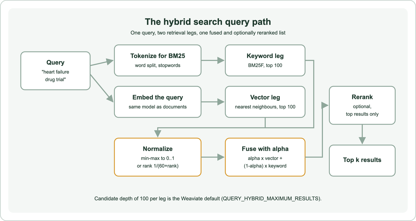 Hybrid search query path: the query is tokenized for BM25 and embedded for vector search, the keyword leg and vector leg each return their top 100 candidates, scores are normalized by min-max or by rank, fused with alpha times the vector score plus one minus alpha times the keyword score, optionally reranked, and returned as the top k results