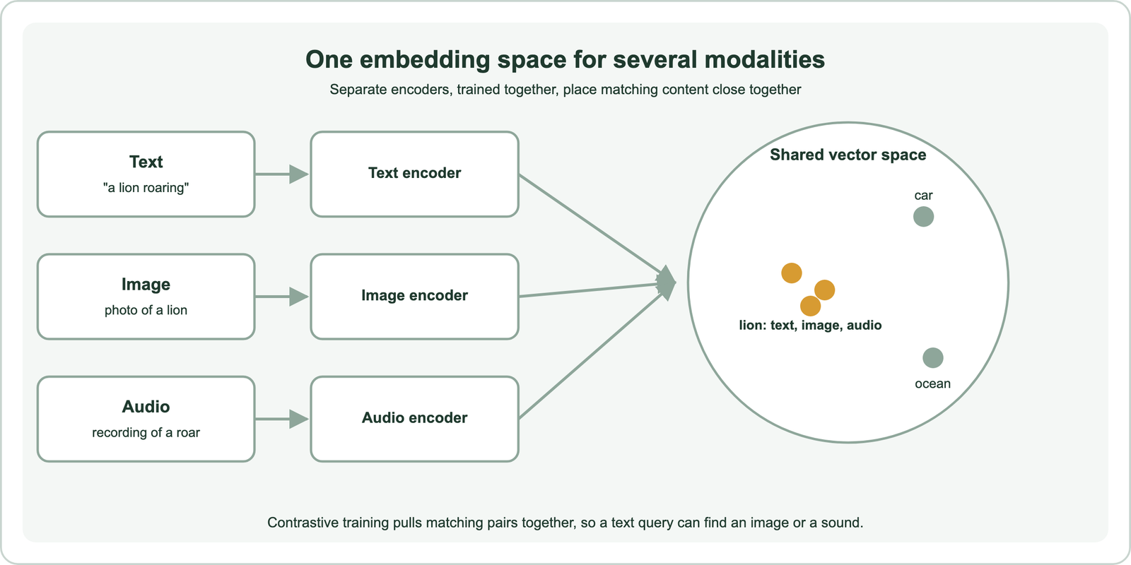One embedding space for several modalities: text such as a lion roaring, a photo of a lion and a recording of a roar each pass through their own encoder into a shared vector space, where the three lion items sit close together and unrelated items such as a car and the ocean sit farther away; contrastive training pulls matching pairs together so a text query can find an image or a sound