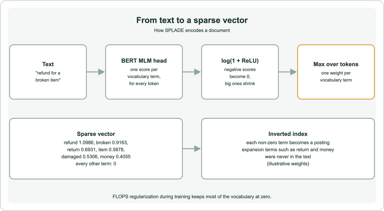 How SPLADE encodes a document: the text refund for a broken item goes through the BERT masked language model head, which gives one score per vocabulary term for every token; log of 1 plus ReLU turns negative scores into 0 and shrinks large ones; the maximum over tokens gives one weight per vocabulary term; the sparse vector has illustrative weights refund 1.0986, broken 0.9163, return 0.6931, item 0.5878, damaged 0.5306 and money 0.4055, with every other term at 0; each non-zero term becomes a posting in an inverted index, including expansion terms such as return and money that were never in the text; FLOPS regularization during training keeps most of the vocabulary at zero