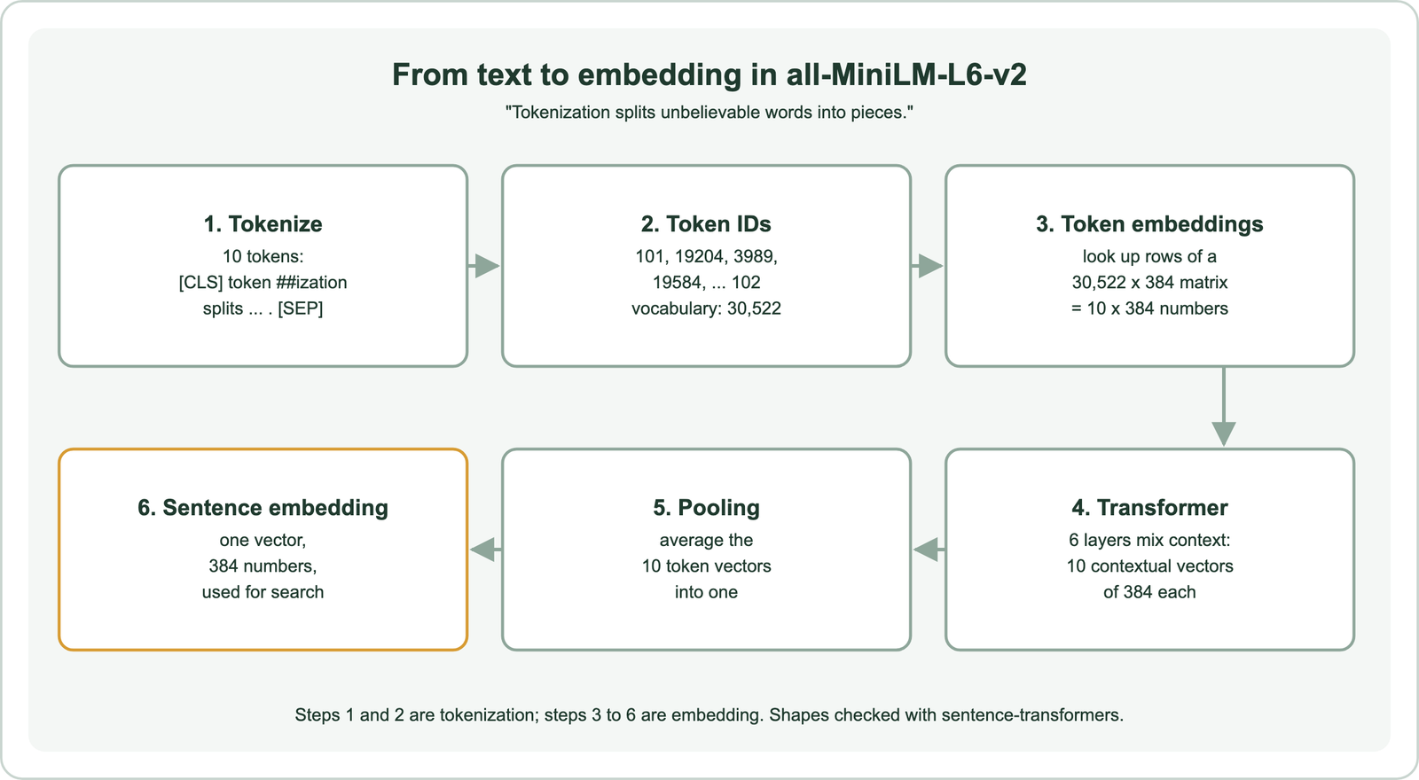 From text to embedding in all-MiniLM-L6-v2 for the sentence Tokenization splits unbelievable words into pieces: 1, tokenize into 10 tokens from CLS through SEP; 2, token IDs such as 101, 19204, 3989 from a 30,522 vocabulary; 3, token embeddings looked up from a 30,522 by 384 matrix, giving 10 by 384 numbers; 4, a 6-layer transformer produces 10 contextual vectors of 384; 5, pooling averages the 10 token vectors; 6, one sentence embedding of 384 numbers used for search