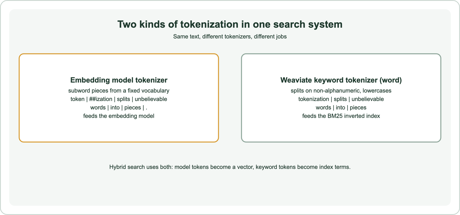 Two kinds of tokenization in one search system: the embedding model tokenizer produces subword pieces from a fixed vocabulary, token, ##ization, splits, unbelievable, words, into, pieces and a full stop, feeding the embedding model; Weaviate's word keyword tokenizer splits on non-alphanumeric characters and lowercases, giving tokenization, splits, unbelievable, words, into, pieces, feeding the BM25 inverted index; hybrid search uses both